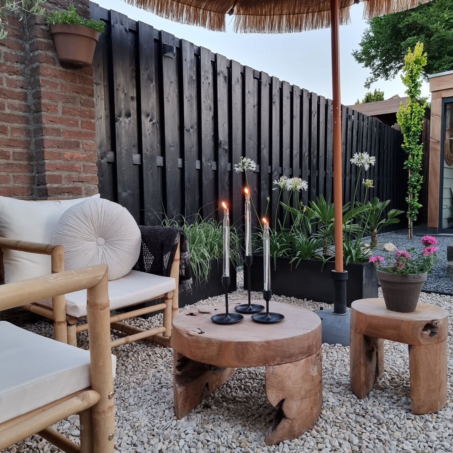 Flamt Candle 3.1 Double